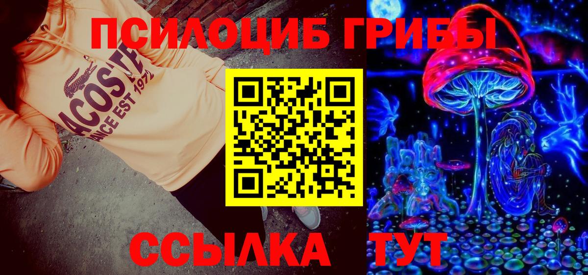 Богородицк  Галлюциногенные грибы мицелий  Вход с VPN 
