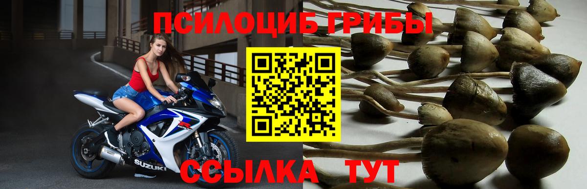 Галлюциногенные грибы мицелий Богородицк